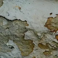 Dettaglio di un muro con intonaco scrostato che rivela macchie scure, indicativo della necessità di un trattamento muffa muri.
