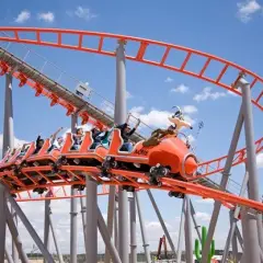 Atracciones Parque Warner Madrid: Las Montañas Rusas que No Te Puedes Perder