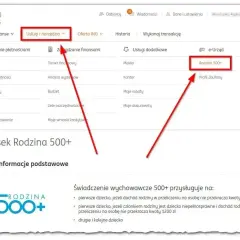 Wniosek o świadczenie wspierające Rodzina 500+ w bankowości ING.