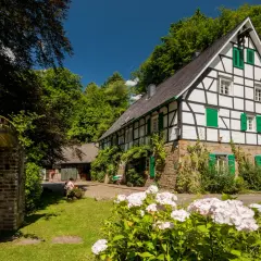 Fachwerkhaus mit grünen Fensterläden, umgeben von üppiger Natur. Ein idyllischer Ort für genuss wandern und Entspannung.
