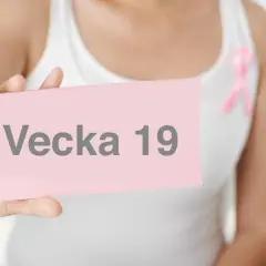 En person håller upp en rosa lapp med texten "Vecka 19". En rosa band pryder personens vita linne.