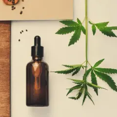 Jak przechowywać olejek CBD, aby nie stracił swoich właściwości?