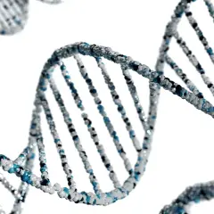 Struktura DNA, symbolizująca dziedziczność i potencjał, pokazuje, od czego zależy inteligencja.
