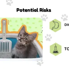 Un chaton curieux semble manger sa litière, soulevant des questions sur les risques digestifs et de toxicité.