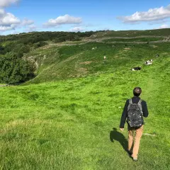 A lone hiker walks along the Dales Way, a path winding through a lush green valley dotted with grazing cows under a bright blue sky.