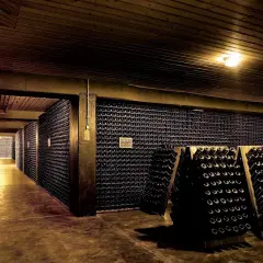 Corridoio di una cantina con migliaia di bottiglie. Un'esperienza indimenticabile per un tour cantine sicilia.
