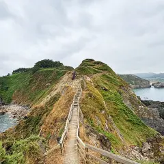 Sendero de madera asciende por una colina verde, con el mar y rocas al fondo. Parece el fuciño do porco, un camino salvaje.