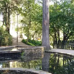 Escultura de madera en el parque de los sentidos, junto a estanques de agua y vegetación exuberante.