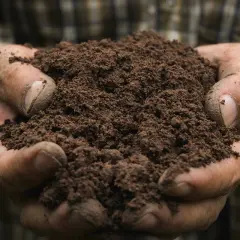 Mani sporche tengono terra fertile, un promemoria delle conseguenze dell'inquinamento del suolo sulla nostra salute e sul futuro.