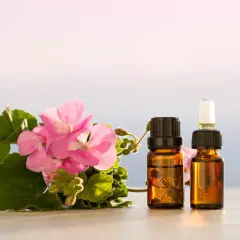 Różowe kwiaty geranium i dwie buteleczki olejku eterycznego. Idealne do domowego sposobu, jak zrobić olejek z geranium.