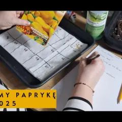 Jak głęboko siać paprykę, aby zapewnić udane kiełkowanie?