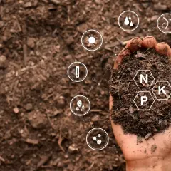 Dłoń trzyma bogate w składniki odżywcze podłoże próchnicze. Widać symbole NPK, słońca, wody, temperatury i mikroorganizmów.