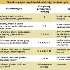 Tabela klasyfikacji gruntów ornych: klasa IV obejmuje gleby brunatne, płowe, mady, torfowe, podmokłe i ciężkie, nadające się pod uprawy pastewne, ziemniaki, żyto, owies i drzewa owocowe.