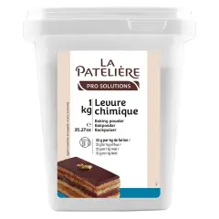Un grand pot de 1 kg de levure chimique "La Pâtelière", idéal pour réussir toutes vos pâtisseries.