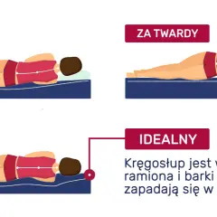 Ilustracja pokazuje, jak producenci materacy prezentują idealne podparcie kręgosłupa.