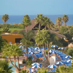Vista aérea del hotel Playa Ballena con palmeras, piscinas y tumbonas bajo sombrillas azules y blancas.