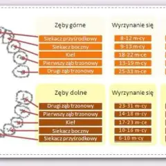 Ząbkowanie trójki objawy: jak rozpoznać ból i dyskomfort u dziecka