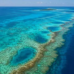 Niesamowite rafy koralowe i turkusowa woda zapraszają na wymarzone belize wakacje. Widok na wyspę i ocean.