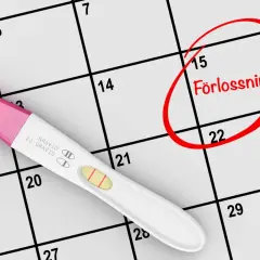 Graviditetstest visar positivt. Kalendern visar att förlossningen är planerad om några trimester veckor, markerad med en röd cirkel.