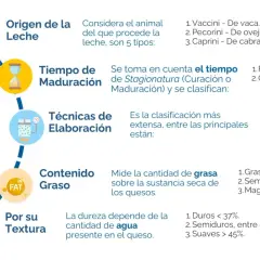 Infografía sobre tipos de quesos italianos, su origen, maduración, elaboración, grasa y textura. No especifica cuántos quesos hay en Italia.