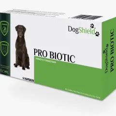Opakowanie DogShield Pro Biotic z czekoladowym labradorem. Domowy probiotyk dla psa wspierający trawienie. 14 kapsułek.