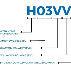 Schemat wyjaśnia, jak czytać oznaczenia kabli, np. H03VV-F, wskazując na normy, napięcie, materiały izolacji i powłoki oraz budowę żyły.