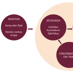 Schema visar hur en situation (t.ex. presentation) leder till reaktion (kamp/flykt, känslor) och beteenden (undviker, kontrollerar) som ger tillfällig lättnad, men förstärker idén om fara. Kan liknas vid panikångest av alkohol.