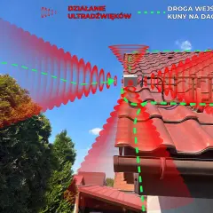 Ultradźwięki odstraszają kuny, blokując ich drogę wejścia na dach. Urządzenie emituje fale dźwiękowe, które są nieprzyjemne dla zwierząt.