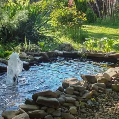 A garden pond with a fountain, surrounded by rocks and lush green plants.