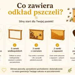 Młoda matka, ramki z czerwiem i zapasami, wsparcie pszczelarskie – to zawartość odkładu pszczelego, który zapewni silny start Twojej pasiece.