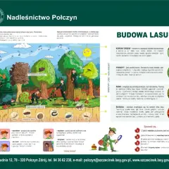 Ilustracja przedstawia różne warstwy lasu: korony drzew, podszyt, runo i ściółkę, z opisami i przykładami organizmów.