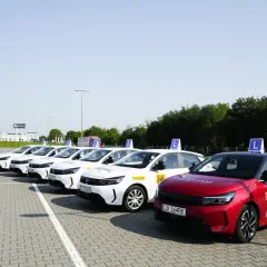 Rząd białych i jeden czerwony samochód szkoleniowy z literą "L" na dachu. Zastanawiasz się, ile kosztuje prawo jazdy?