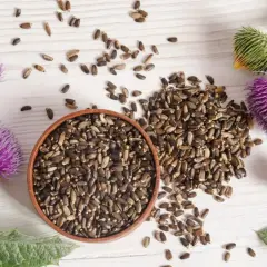 Mariendistel-Samen in einer Schale und verstreut, mit Blüten. Manche nutzen sie zur Unterstützung bei Gewichtszunahme.