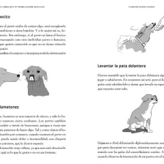 Ilustraciones de perros raros: uno se lame el hocico, otro levanta la pata y uno más da lametones.