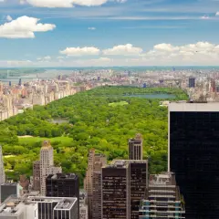 Widok na Central Park i drapacze chmur. To jedne z wielu atrakcji Nowego Jorku, które warto zobaczyć.
