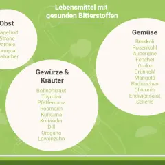 Liste von Lebensmitteln mit gesunden Bitterstoffen: Obst (Grapefruit, Zitrone), Gemüse (Brokkoli, Chicorée) und Kräuter (Löwenzahn, Rosmarin).
