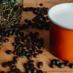 Ziarna kawy i kubek z mlekiem. Zastanawiasz się, jakie mleko do kawy będzie najlepsze?