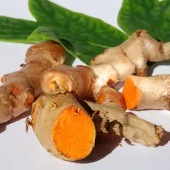 Frische Kurkumawurzeln mit leuchtend orangefarbenem Inneren. Man kann Kurkuma roh essen, um von ihren gesunden Inhaltsstoffen zu profitieren.