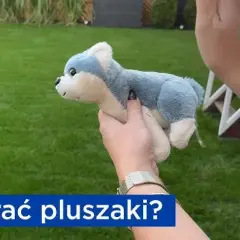 Pluszaki czyste i bezpieczne: jak prać, by nie zniszczyć?