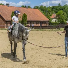 Stadnina koni w Markach - najlepsze miejsca na jazdę konną i opiekę
