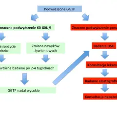 GGTP: Co oznacza podwyższony wynik? Normy, przyczyny i jak obniżyć