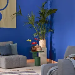 Ein gemütliches Wohnzimmer mit einem grauen Sofa und passender Wandfarbe in leuchtendem Blau. Dekorative Kissen und eine Pflanze sorgen für Gemütlichkeit.