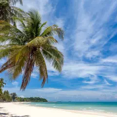 Plaża z palmami i turkusową wodą pod błękitnym niebem z chmurami.
