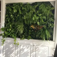 En frodig vägg med ormbunke inomhus och andra gröna växter, omgiven av bokhyllor och vita skåp.