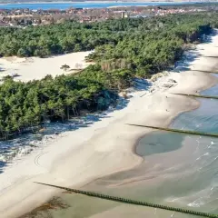 Najlepsze atrakcje w Rogowie, które musisz zobaczyć podczas wizyty