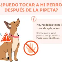 Un perro mira hacia arriba, con una pipeta y un signo de advertencia. El texto indica que no debes tocar la zona de aplicación después de la pipeta.