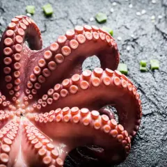 Tentacoli di polpo in umido, pronti per essere gustati, su sfondo scuro con erba cipollina.