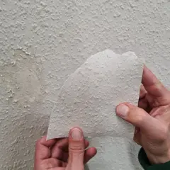 Hände halten ein Stück abgelöste Raufasertapete hoch, um einen beschädigten Bereich an der Wand zu inspizieren.