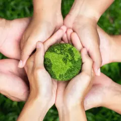 Viele Hände halten eine grüne Erde, die für Nachhaltigkeit steht. Gemeinsam können wir die Welt schützen und master sustainability.