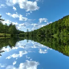 Spiegelglatter See im Schwarzwald, umgeben von üppigen Wäldern. Ein friedlicher Ort, der an geheime Orte im Schwarzwald erinnert.